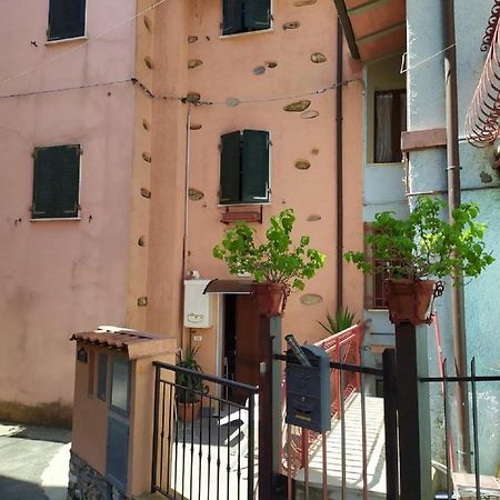 Casetta Spino Fiorito Montignoso Bagian luar foto