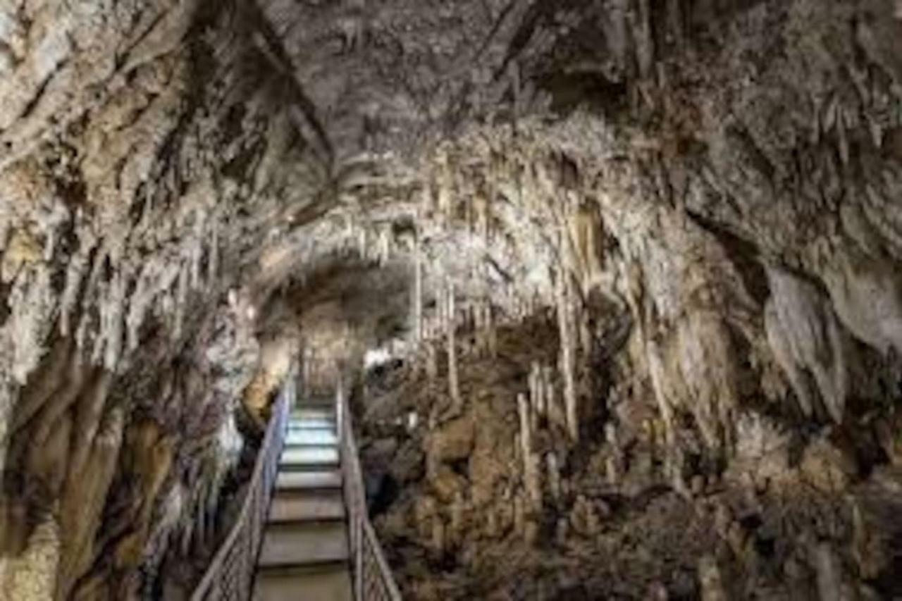 Casetta Spino Fiorito Montignoso Bagian luar foto
